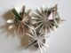 The Thinking Man's Book Sculptures