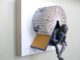 The Thinking Man's Book Sculptures