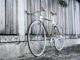 Plywood Bikes, Handlebars and Rack by Dots Design Studio