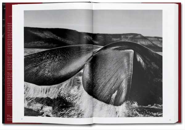 Genesis by Sebastião Salgado 2