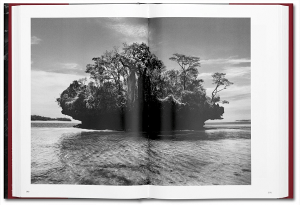 Genesis by Sebastião Salgado 5