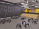 The Wayra Project by Quanto Arquitectura 7