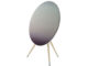 Bang & Olufsen A9 Nordic Sky wireless speaker