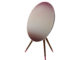 Bang & Olufsen A9 Nordic Sky wireless speaker 2