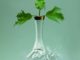 Flowervases by Martin Klimas
