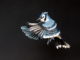 Paper Bird Art by Diana Beltran Herrera