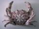 Crochet sculptures by Joana Vasconcelos