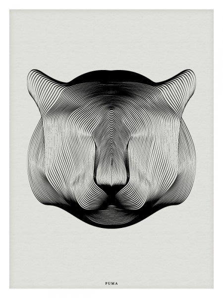 Animals in Moiré by Andrea Minini
