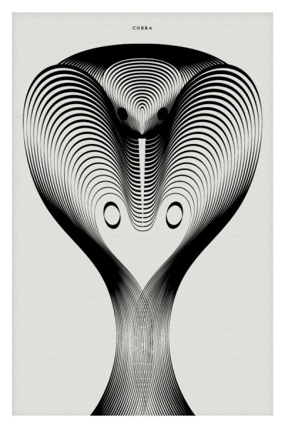 Animals in Moiré by Andrea Minini 4