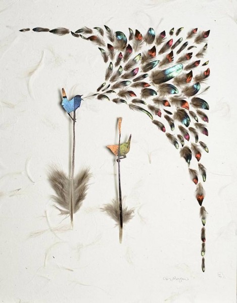 Featherfolio by Chris Maynard 6