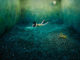 Surreal Dreamscapes by JeeYoung Lee 2