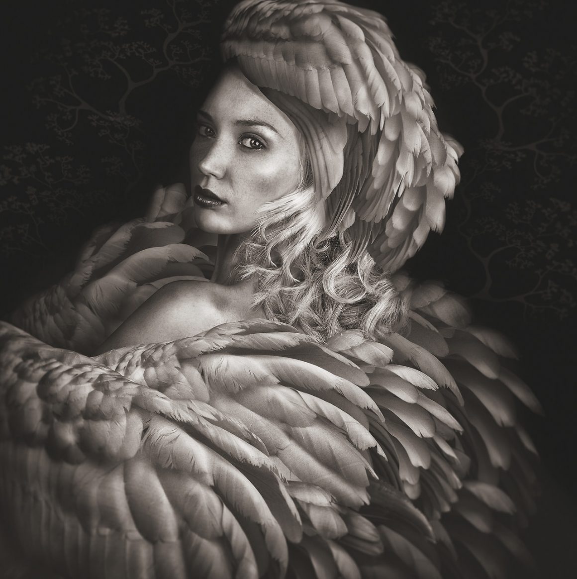 Beauté Aviaire by Lee Howell 12