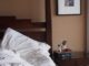 The Barisieur by Joshua Renouf Design 4