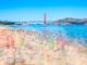Impressions of San Francisco by Christopher Dydyk 14