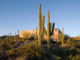 Desert Courtyard House by Wendell Burnette Architects 13