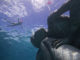 Ocean Atlas in Nassau, Bahamas by Jason deCaires Taylor 3