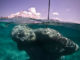 Ocean Atlas in Nassau, Bahamas by Jason deCaires Taylor 5