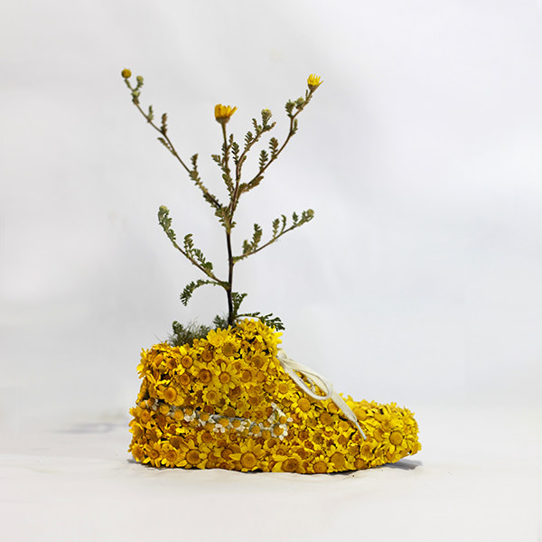 Just Grow It - Les Sneakers Végétales by Mr Plant 8