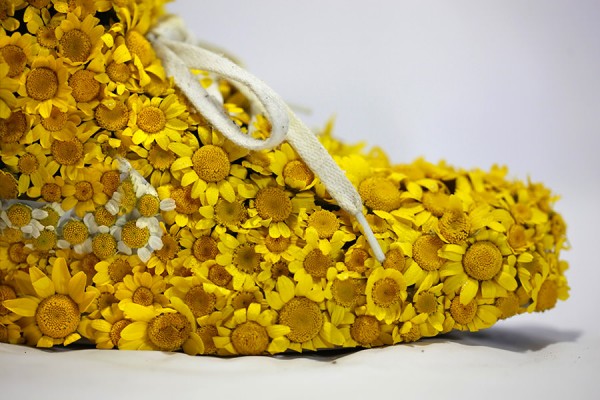 Just Grow It - Les Sneakers Végétales by Mr Plant 7