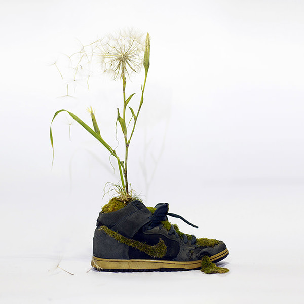 Just Grow It - Les Sneakers Végétales by Mr Plant 2