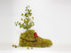 Just Grow It - Les Sneakers Végétales by Mr Plant 4