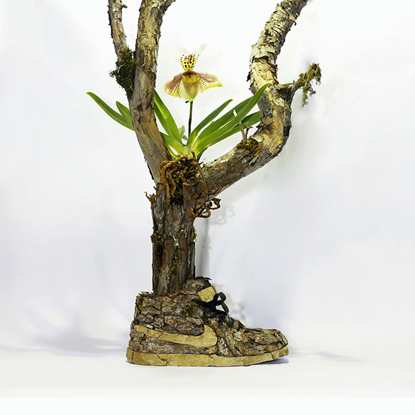 Just Grow It - Les Sneakers Végétales by Mr Plant 6