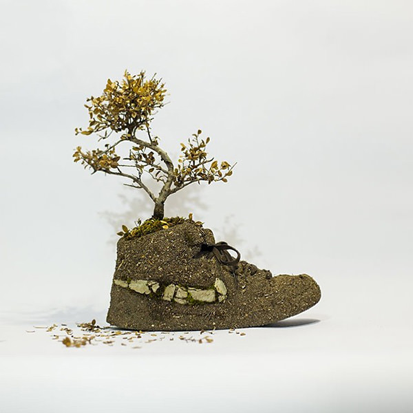 Just Grow It - Les Sneakers Végétales by Mr Plant 12