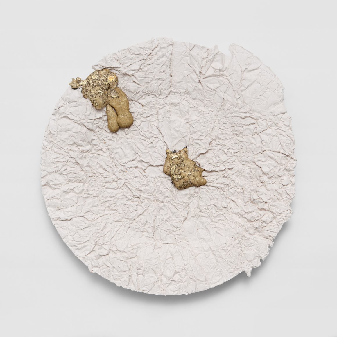 Eccentric Plates by Daniel van Dijck 7