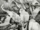 Pat Perry is an artist from Michigan who writes and makes pictures through careful and cautious observation. He works itinerantly, and is a member of the Beehive Design Collective.