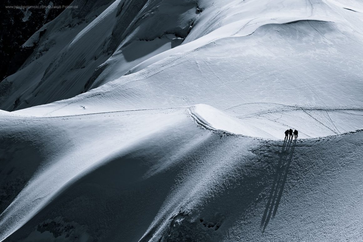 Scale of Nature by Jakub Polomski 5