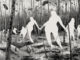 Pat Perry is an artist from Michigan who writes and makes pictures through careful and cautious observation. He works itinerantly, and is a member of the Beehive Design Collective. 3