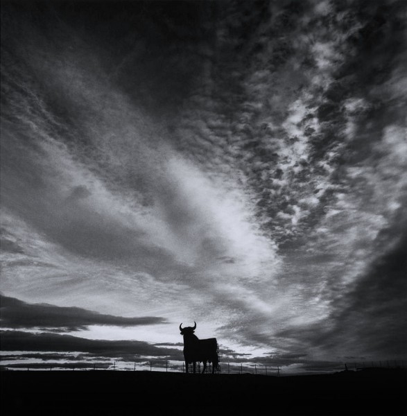 Black and White Photography by Michael Kenna 18