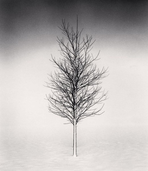 Black and White Photography by Michael Kenna 19