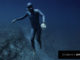 Ocean Gravity by freediver Guillaume Nery and Julie Gautier