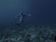 Ocean Gravity by freediver Guillaume Nery and Julie Gautier 4