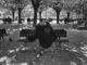 "French Kiss – A Love Letter to Paris" by Peter Turnley 6