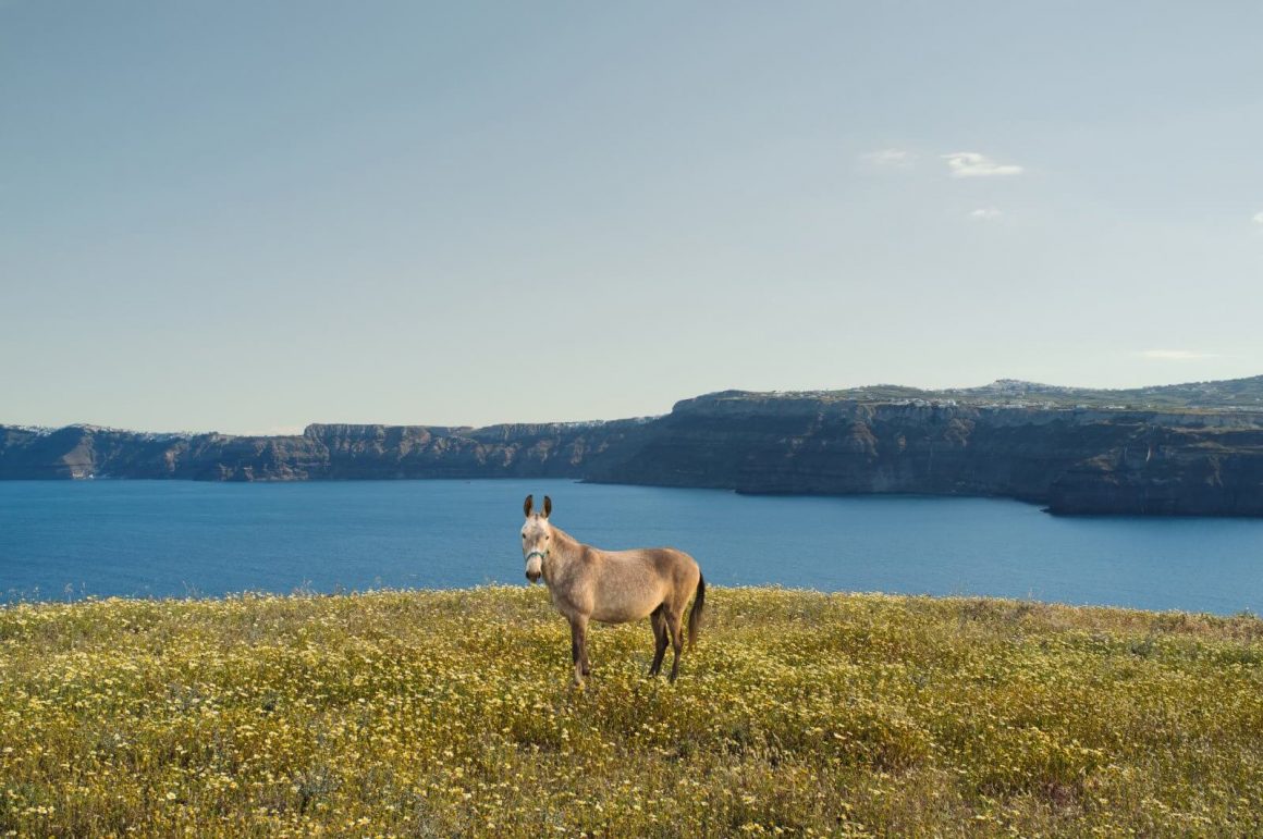 The other side of Santorini by Petros Koublis 3