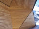 Glacier Skywalk by Sturgess Architecture 4