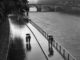"French Kiss – A Love Letter to Paris" by Peter Turnley 12