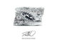 Chuck Taylor All Star "Made By You" by Converse 4