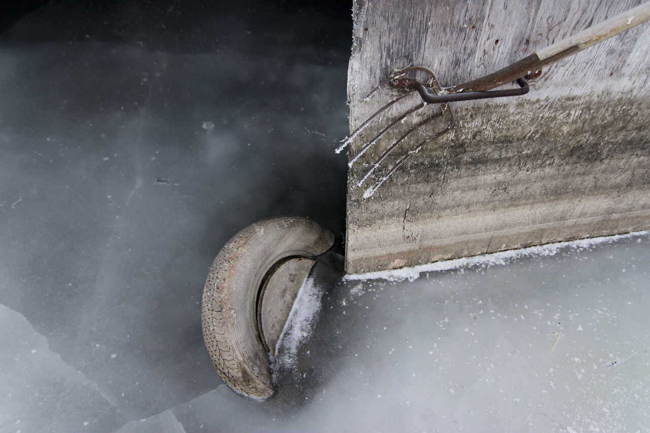 Winter return by Paul Johnson - Tumblr Nhfjhddqet1syyoigo8, 7 of 9