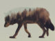 Double Exposure Animal Portraits by Andreas Lie 5