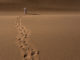 Greetings from Mars by Julien Mauve 5