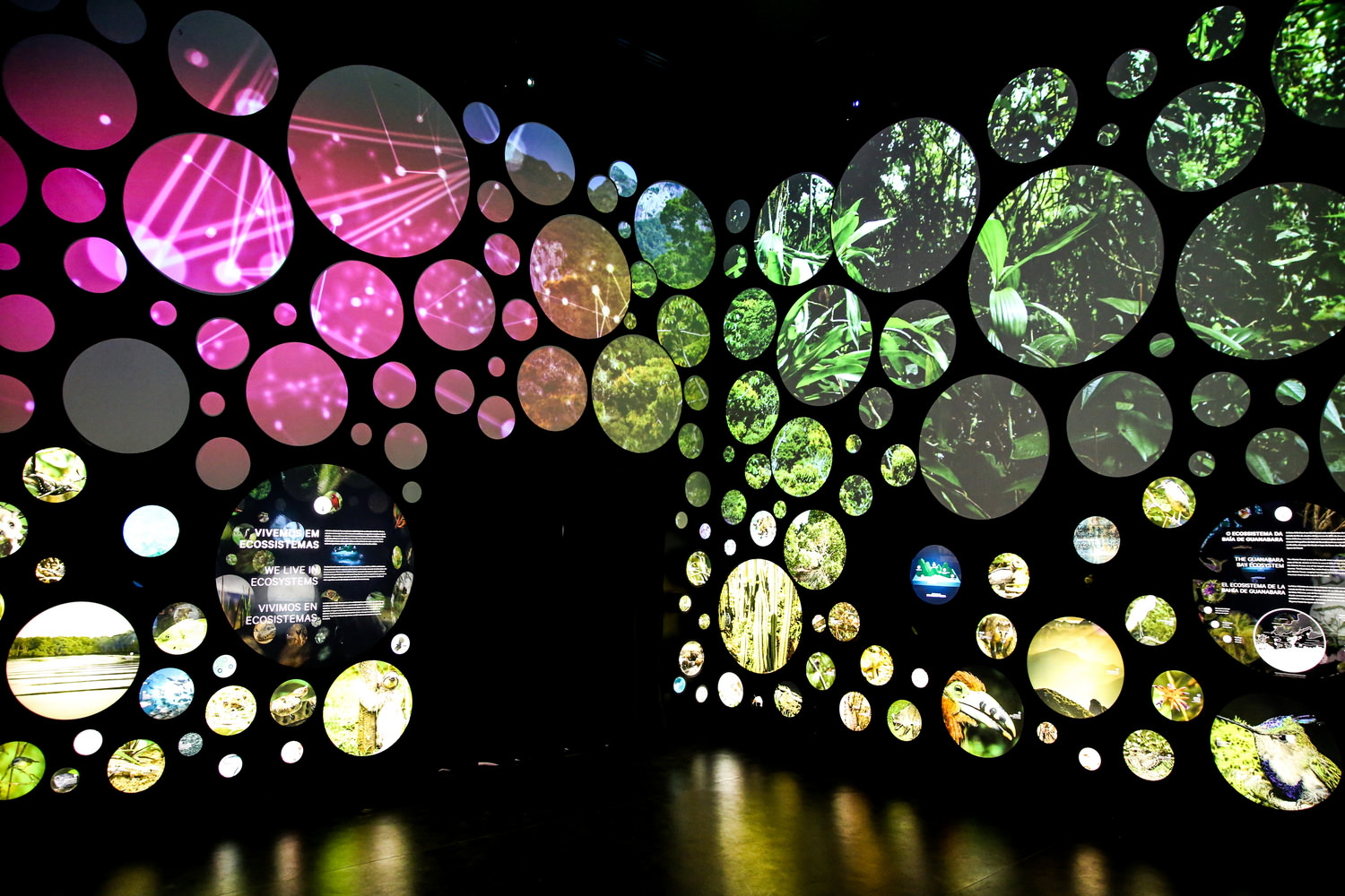 Museum Of Tomorrow Santiago Calatrava 11