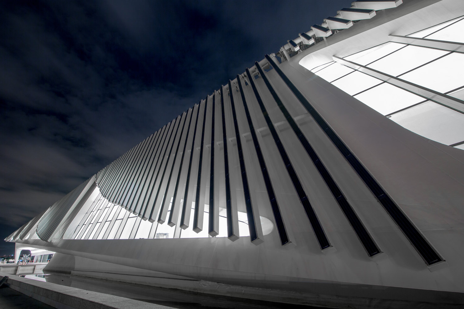 Museum Of Tomorrow Santiago Calatrava 16
