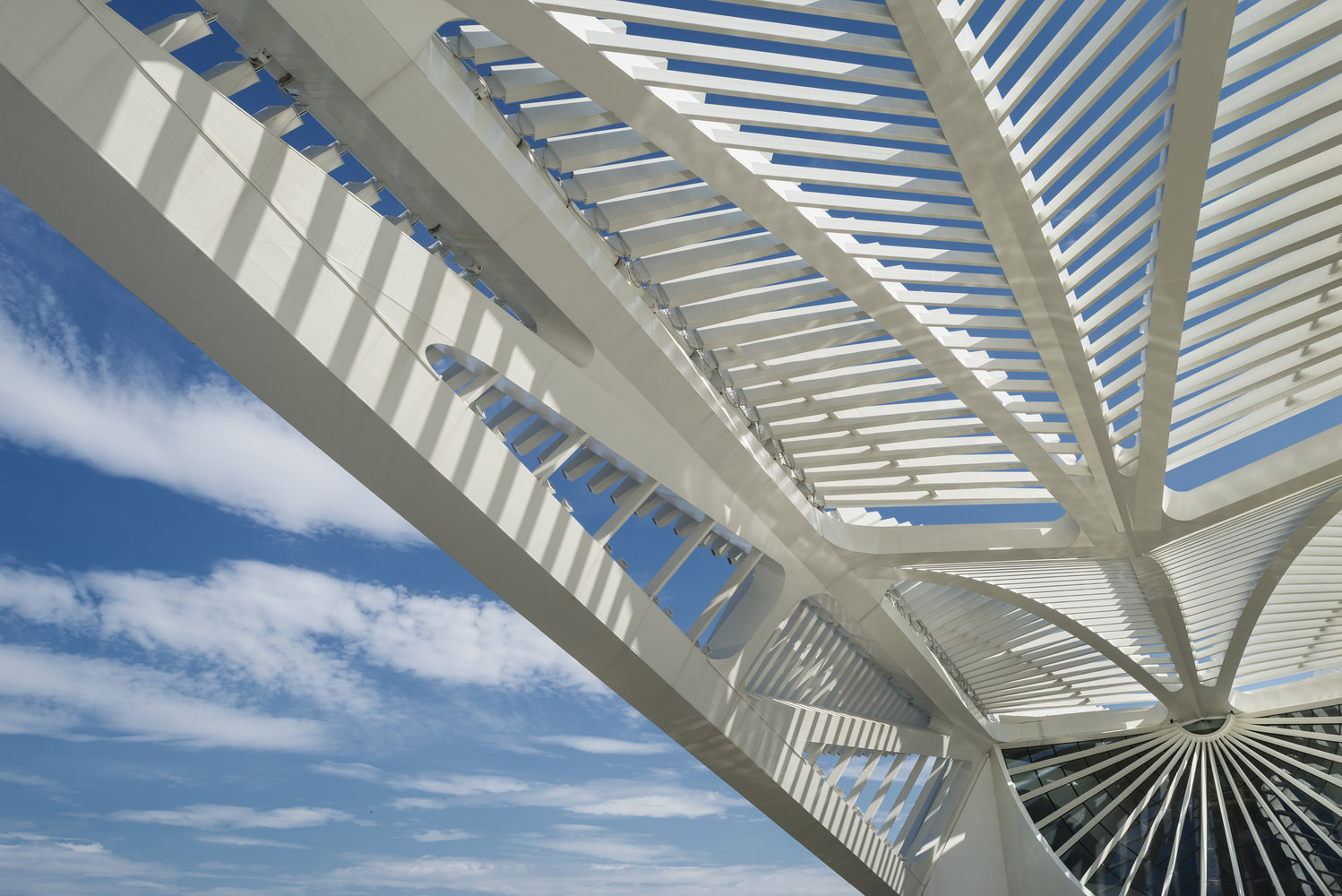Museum Of Tomorrow Santiago Calatrava