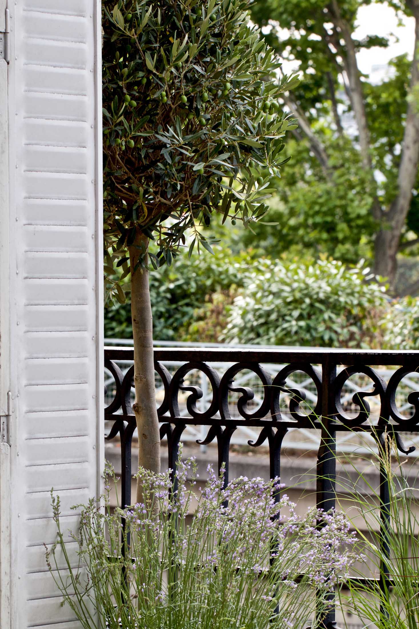 Rue Monsieur Paris 20