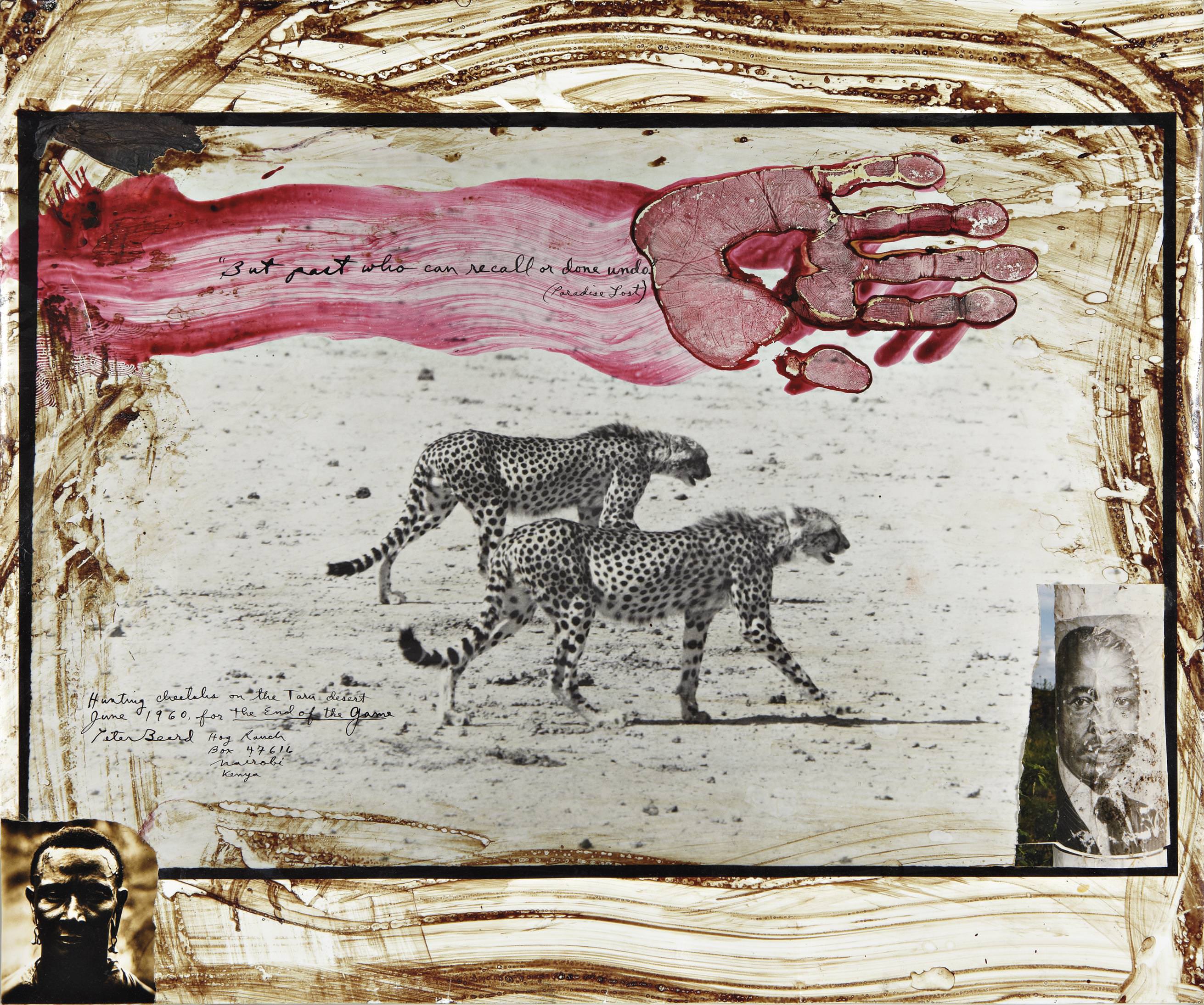 Peter Beard: Wild at Heart, 7 of 10