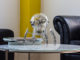 The OCTOPOD table clock by MB&F and L'Epée 1839